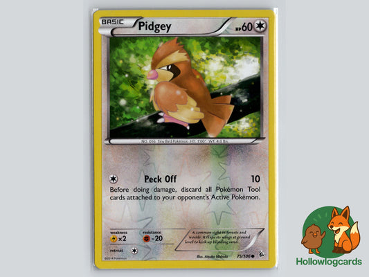 Pidgey - Flashfire HOLO 75/106 - Nishida - MidEra