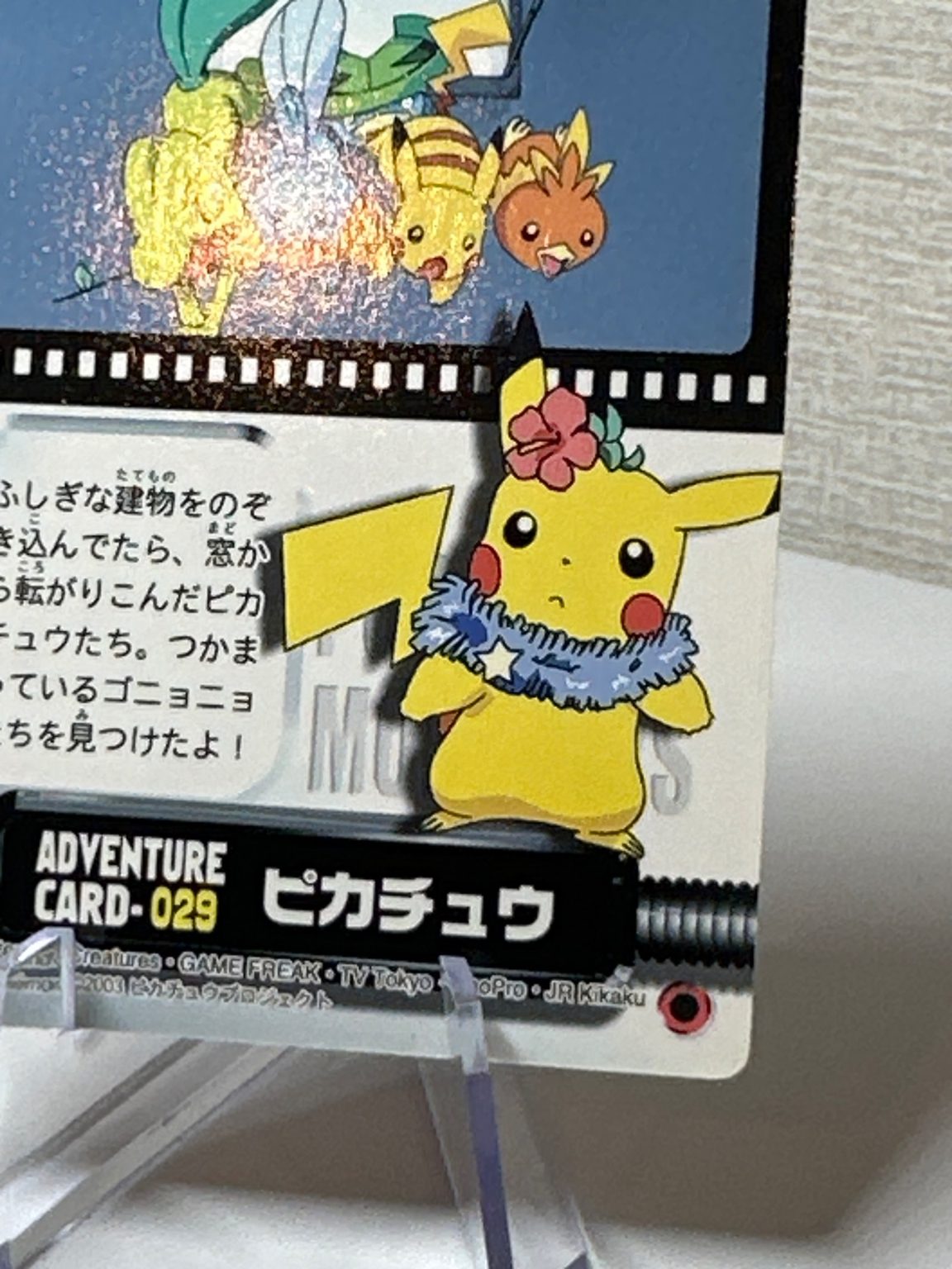 Pikachu Adventure Card No.029 2003 Carddass - Mudkip Torchic treeko - Bandai - Japanese