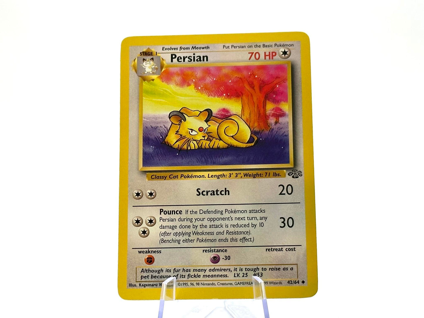 Persian - Jungle #42/64 -