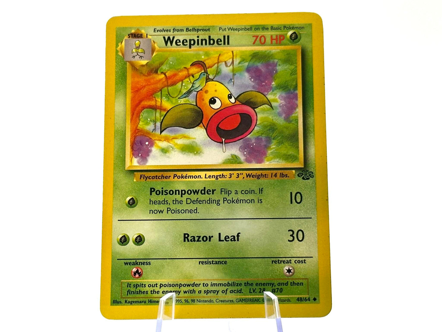 Weepinbell - Jungle #48/64 -