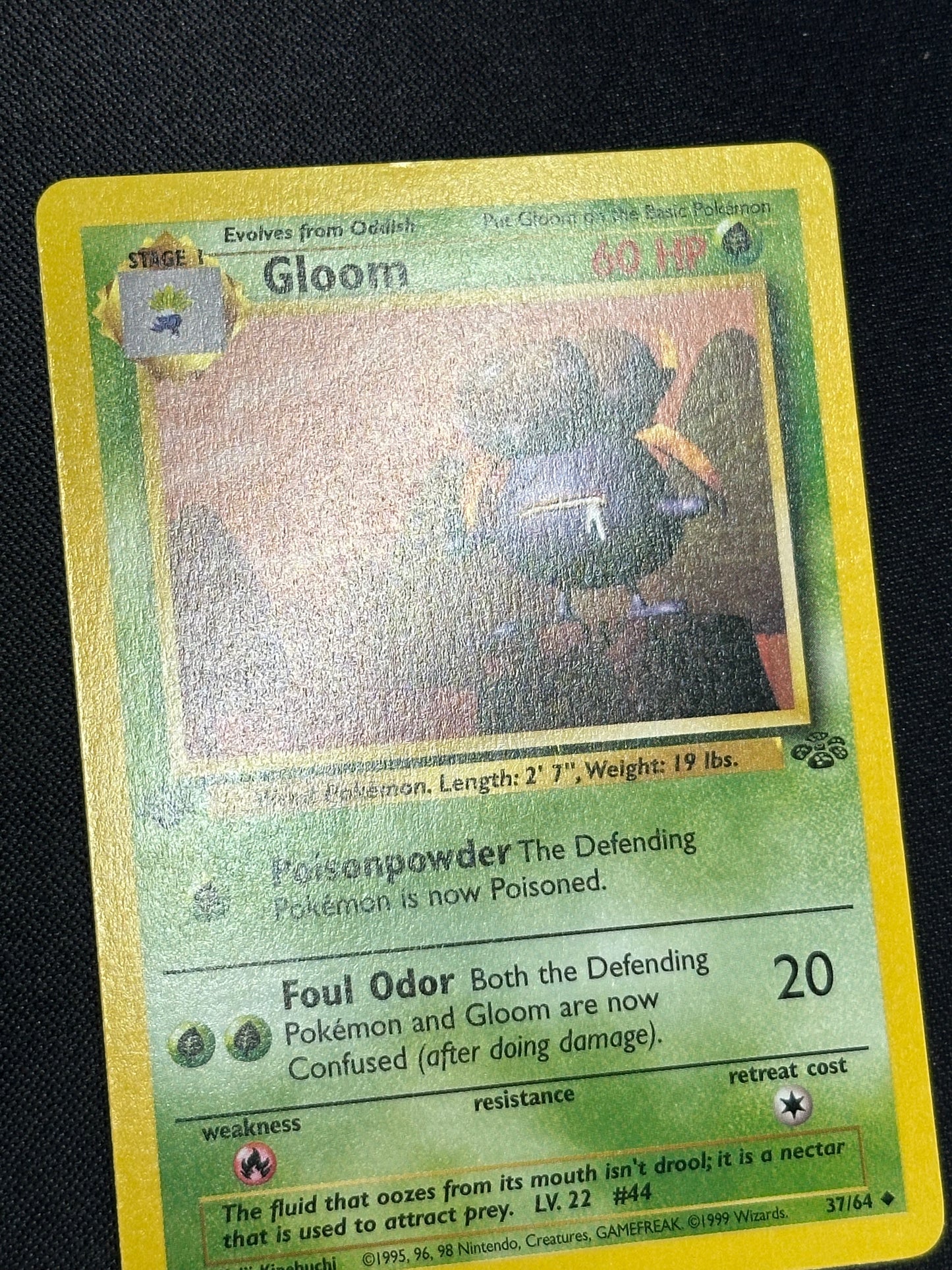 1st Edition Gloom - Jungle 37/64 - Gradeable?