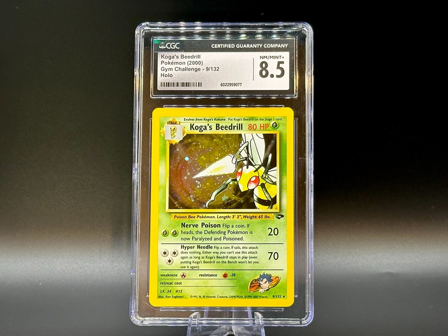 Image of Kogas Beedrill Gym Challenge (G2) #9