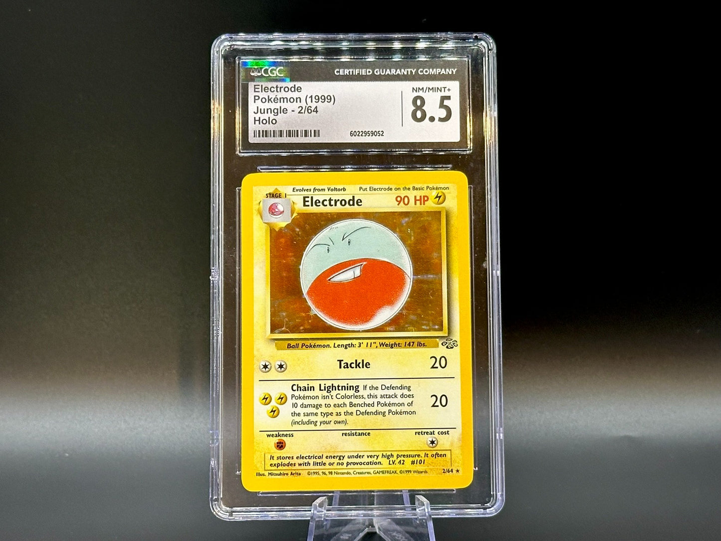 Image of Electrode Jungle (JU) #2