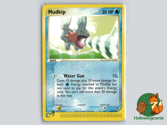 Image of Mudkip Dragon (DR) #65