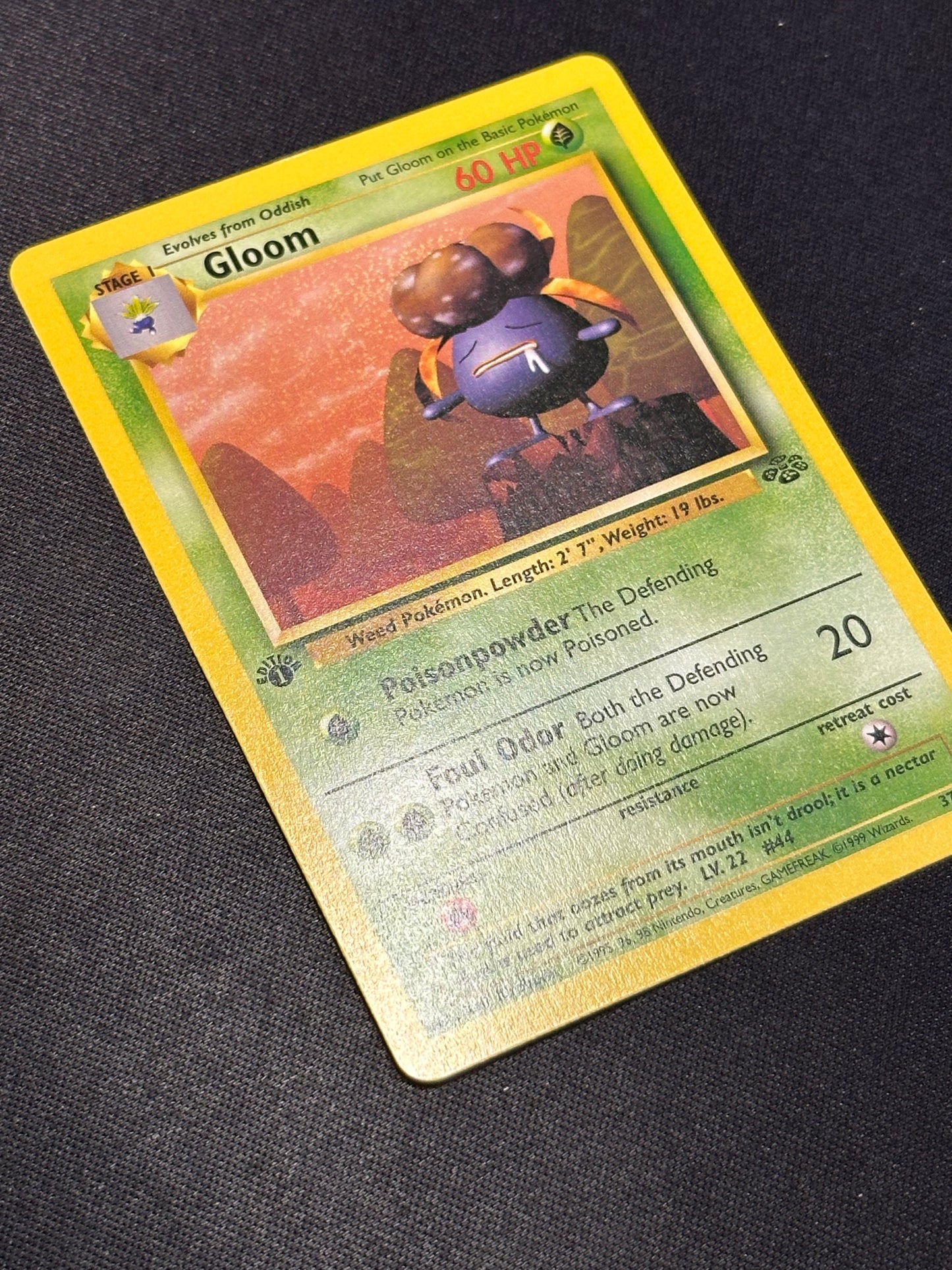 1st Edition Gloom - Jungle 37/64 - Gradeable?