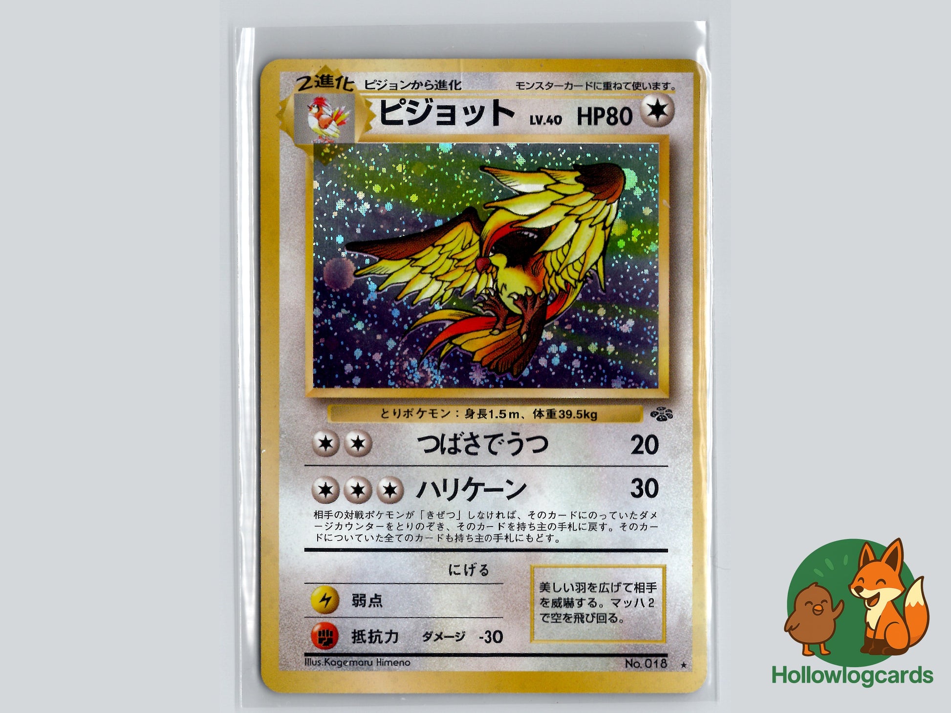 Image of Pidgeot Pokemon Jungle (B02) #43