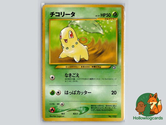 Image of Chikorita Neo Premium File 1 #03