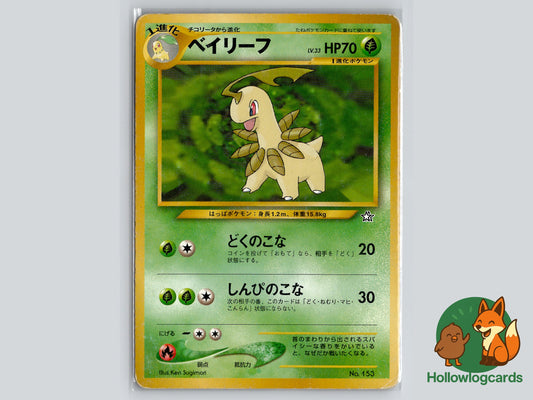 Image of Bayleef Neo Premium File 1 #02
