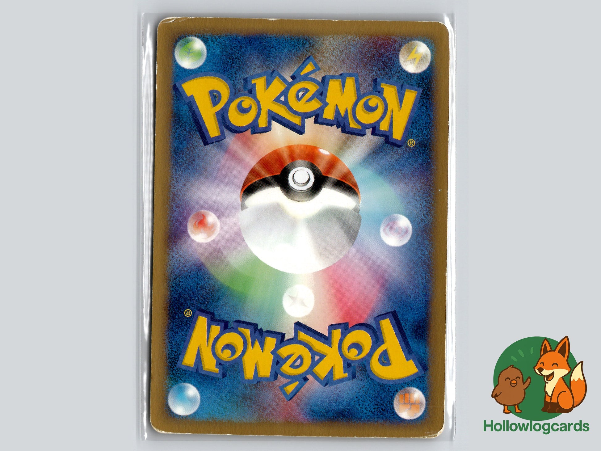 Back of Feraligatr Pokemon-e Starter Deck #024