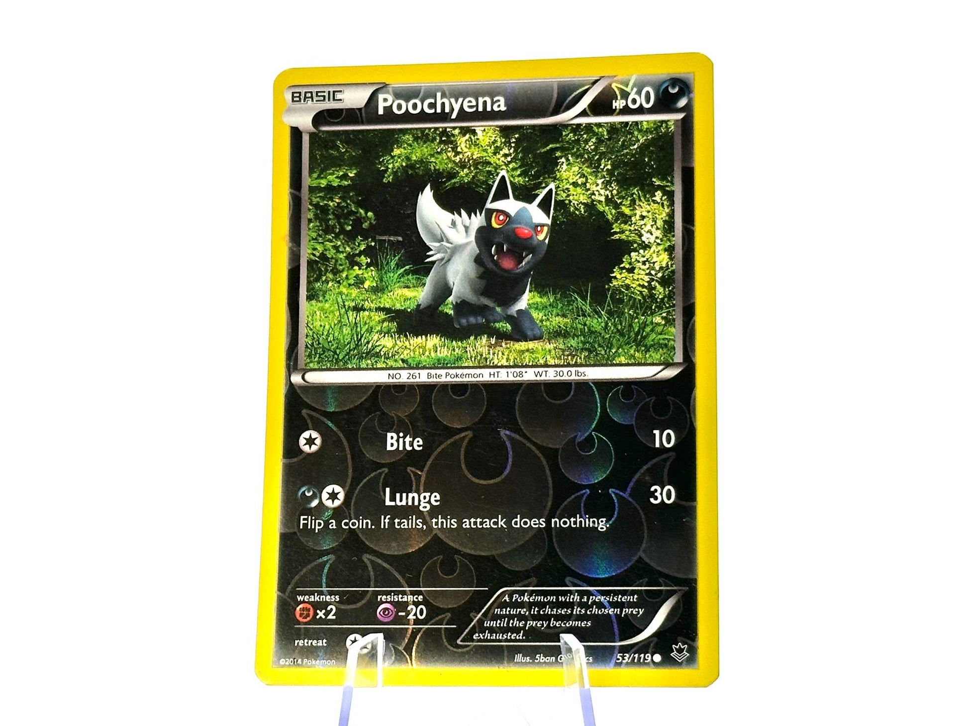 Image of Poochyena Phantom Forces (PHF) #53