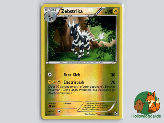 Image of Zebstrika Black and White (BLW) #43