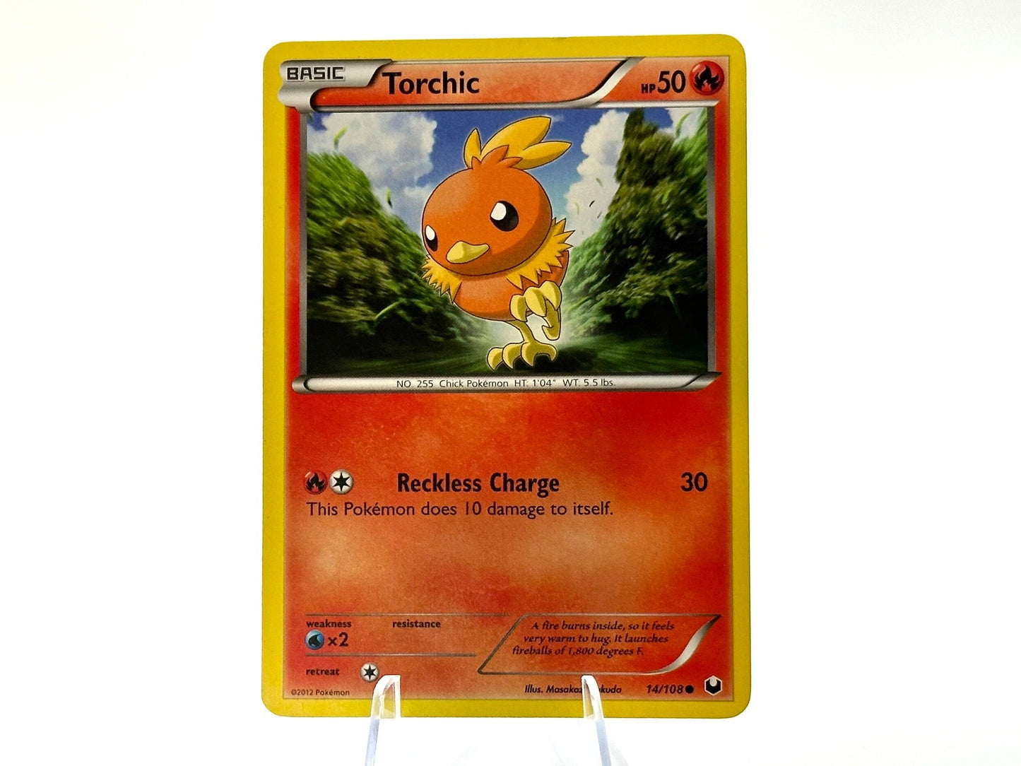 Image of Torchic Dark Explorers (DEX) #14