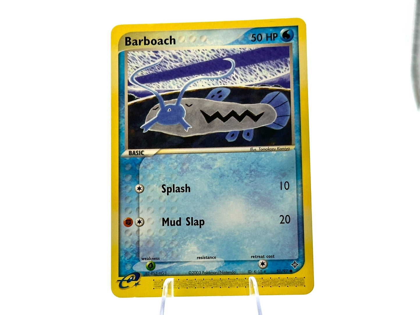 Image of Barboach Dragon (DR) #51
