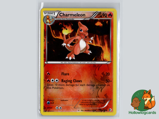 Image of Charmeleon Boundaries Crossed (BCR) #19