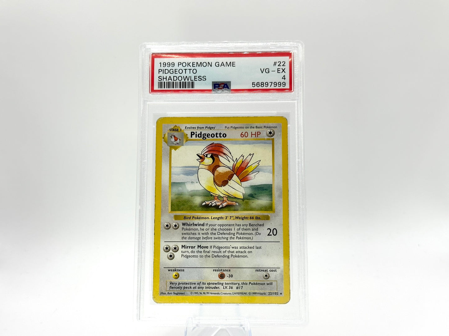 GRADED - Pidgeotto - Base Set (Shadowless) 22/102 - Sugimori - PSA 4