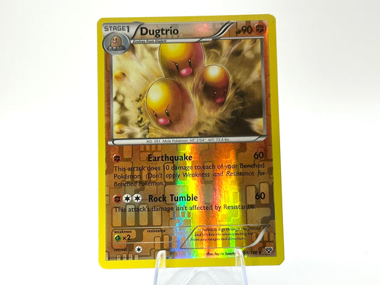 Dugtrio XY Reverse Holo - Vintage