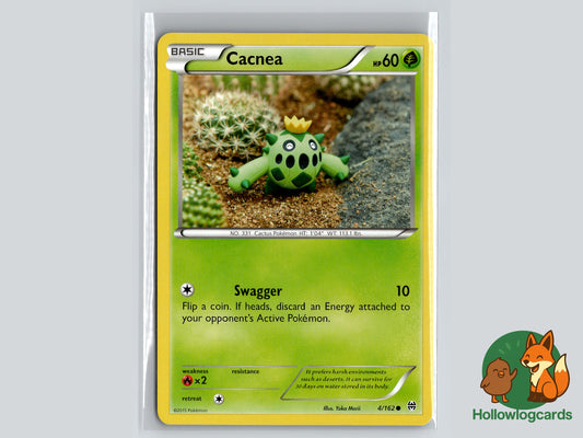 Image of Cacnea BREAKthrough (BKT) #4