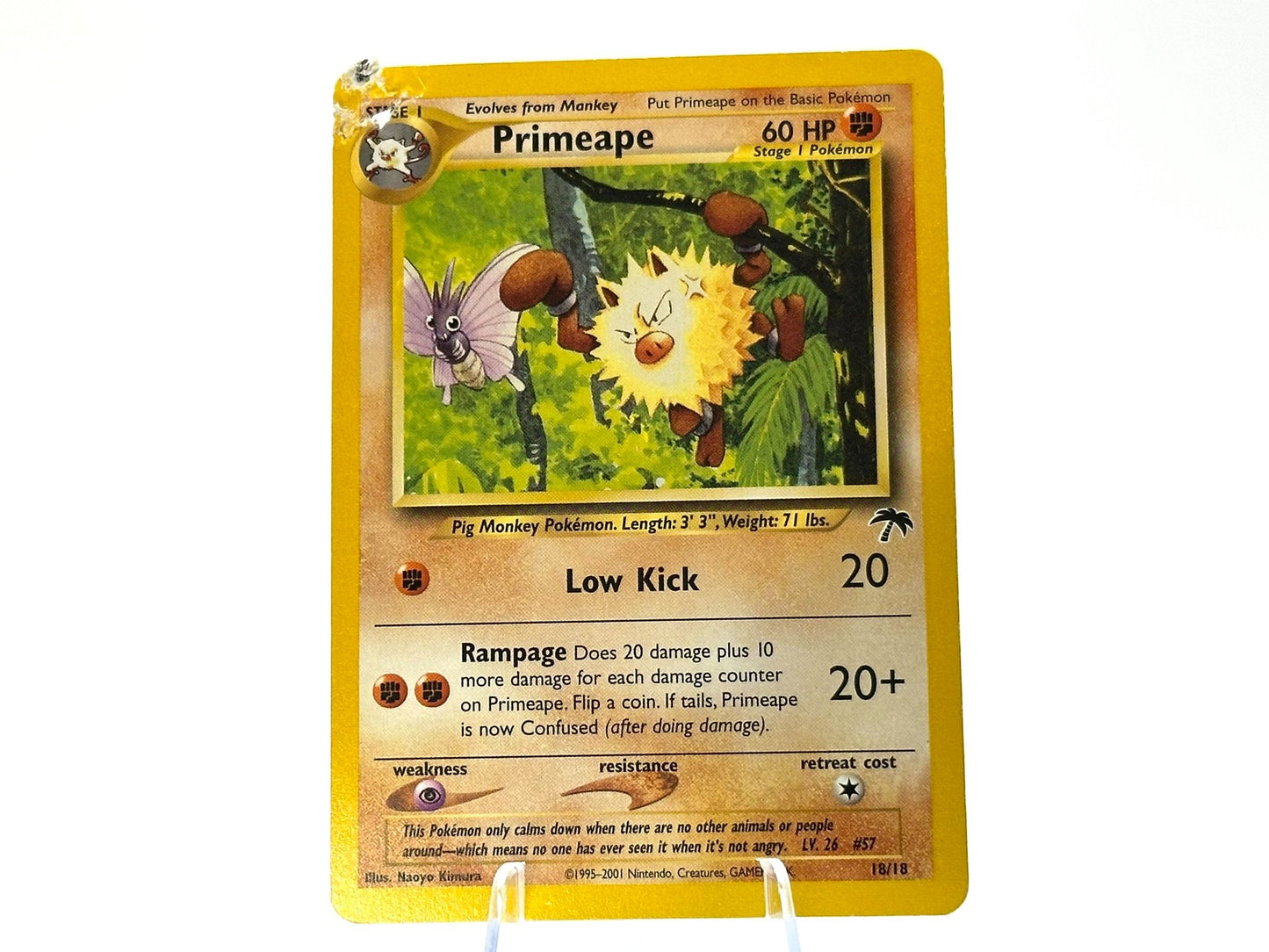 Image of Primeape Southern Islands (SI) #18