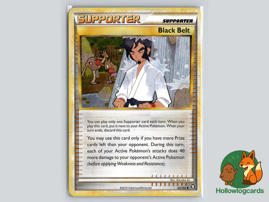 Image of Black Belt Triumphant (TM) #85