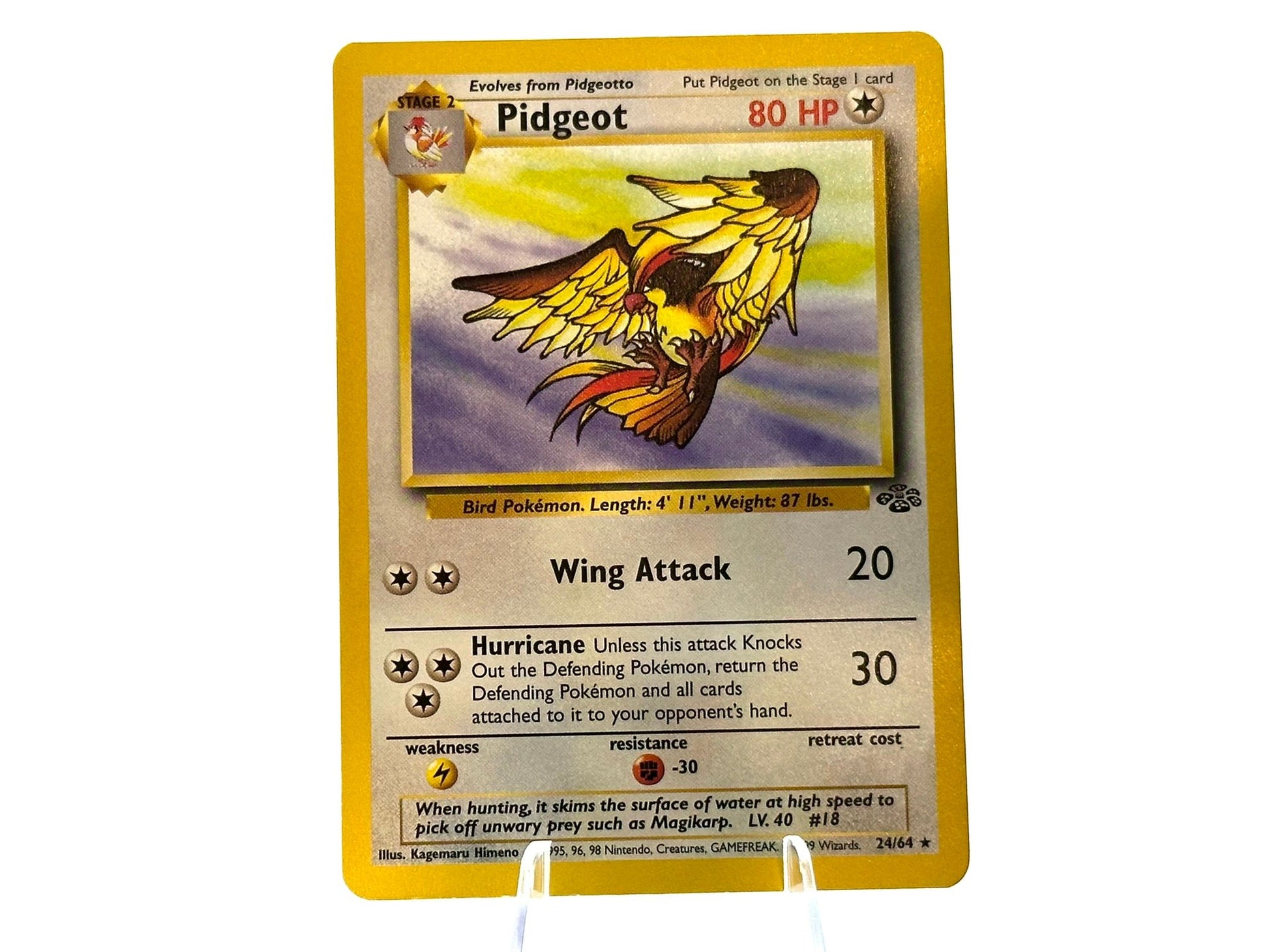 Image of Pidgeot Jungle (JU) #24