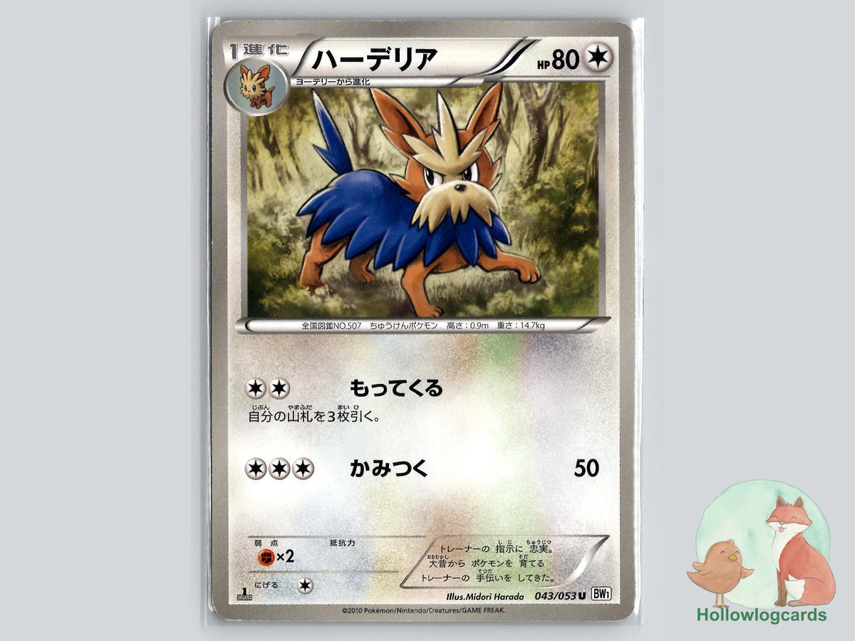 Herdier (043/053) Pokémon Card