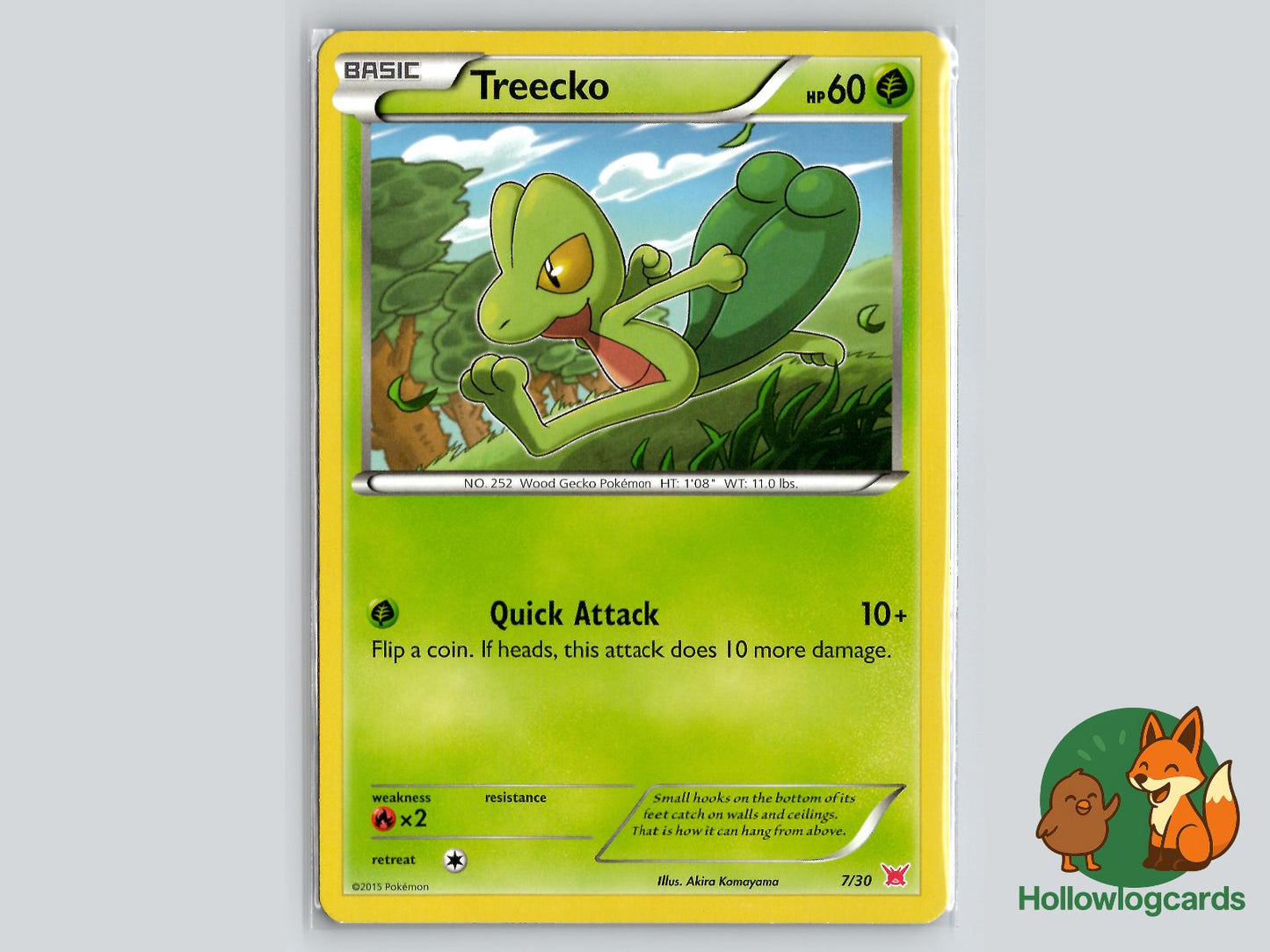 Treecko (7/30) - XY Pokémon Card