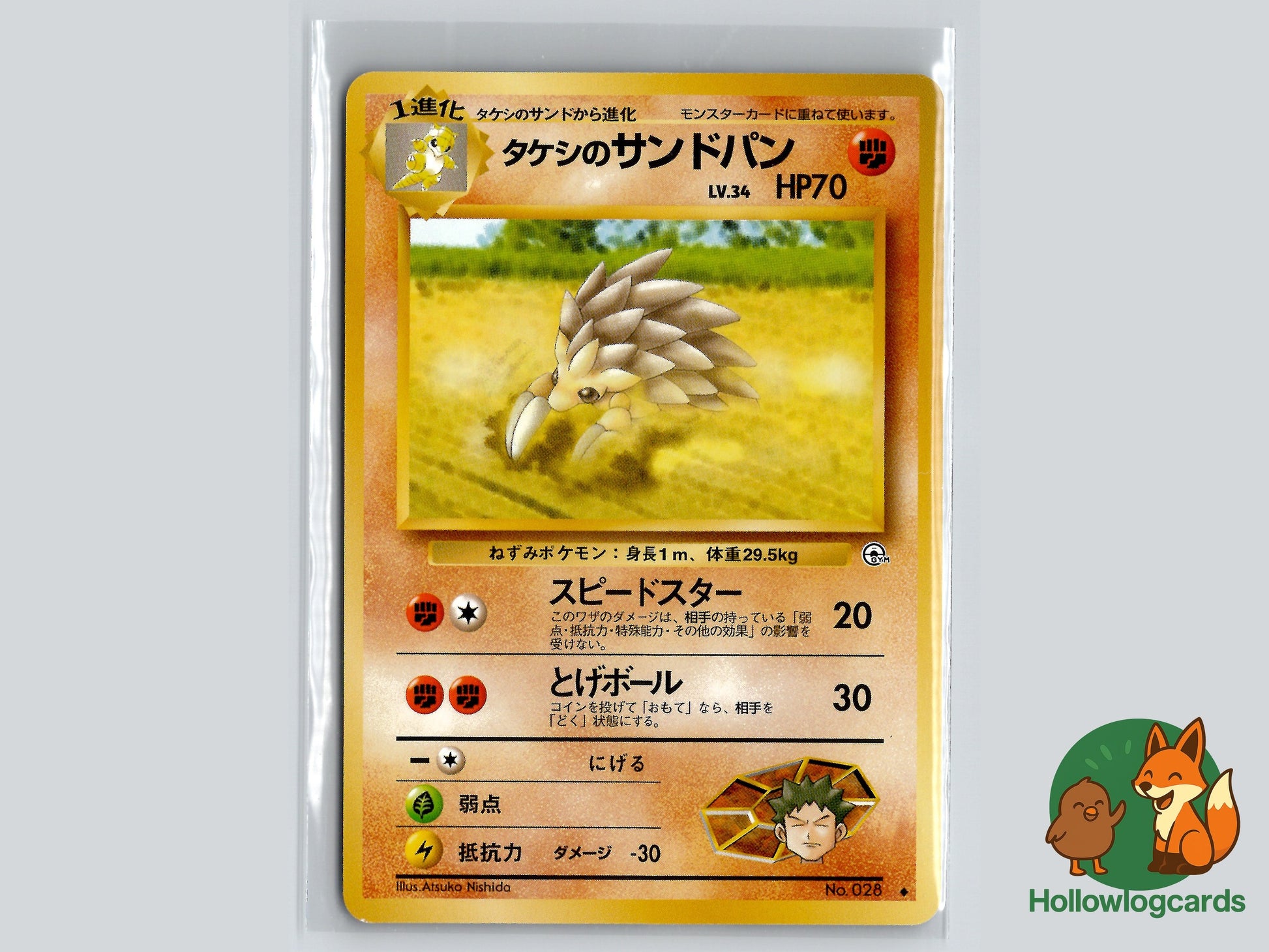 Image of Brock's Sandslash Leader's Stadium (B05) #028