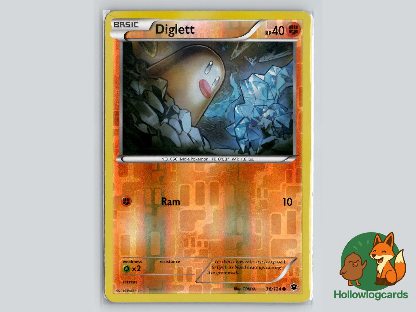 Diglett (36/124) - Fates Collide Pokémon Card