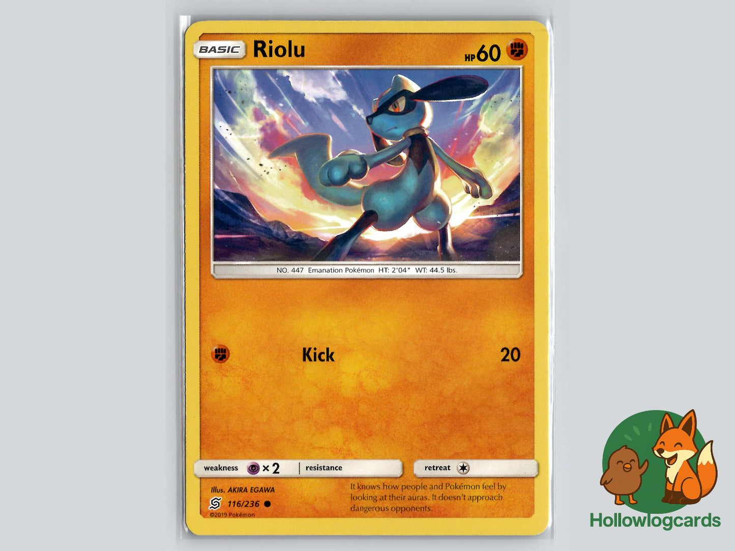 Riolu (116/236) - Unified Minds Pokémon Card