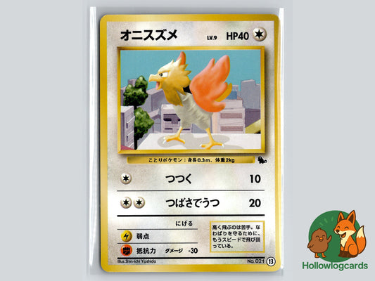 Image of Spearow Intro Pack (Squirtle) #13