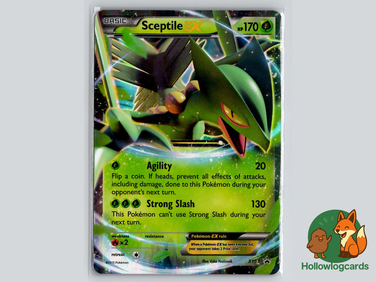Sceptile EX (XY53) - XY Pokémon Card