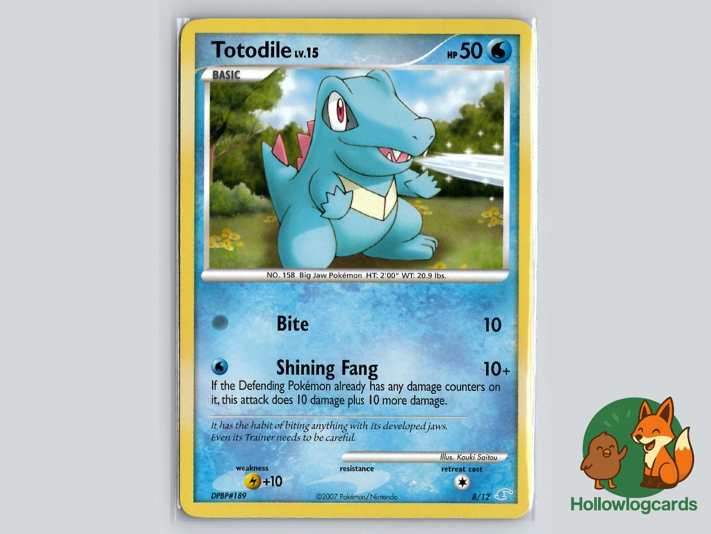 Totodile (8/12) Pokémon Card