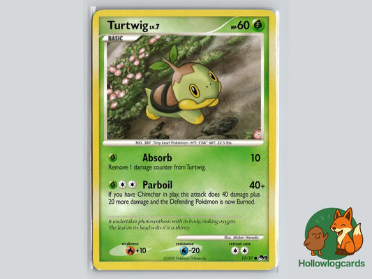 Turtwig (17/17) - POP Series 9 Pokémon Card