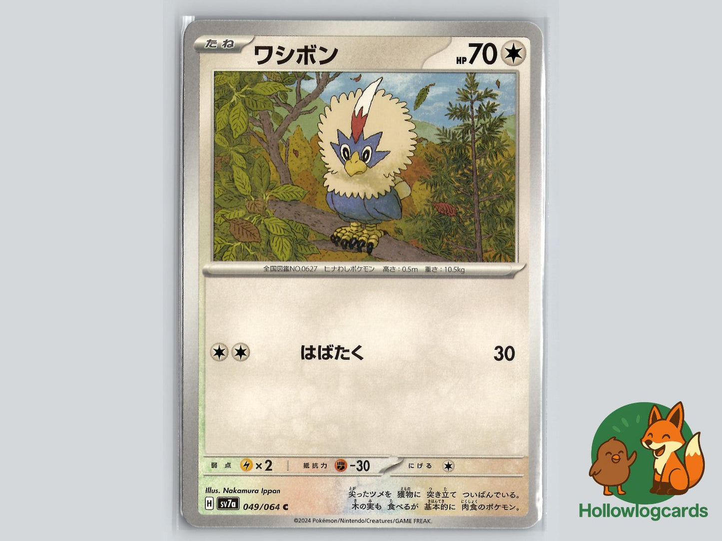 Rufflet (049/064) - Dragon Pokémon Card