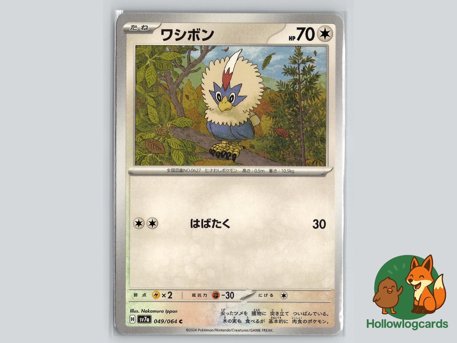 Rufflet (049/064) - Dragon Pokémon Card