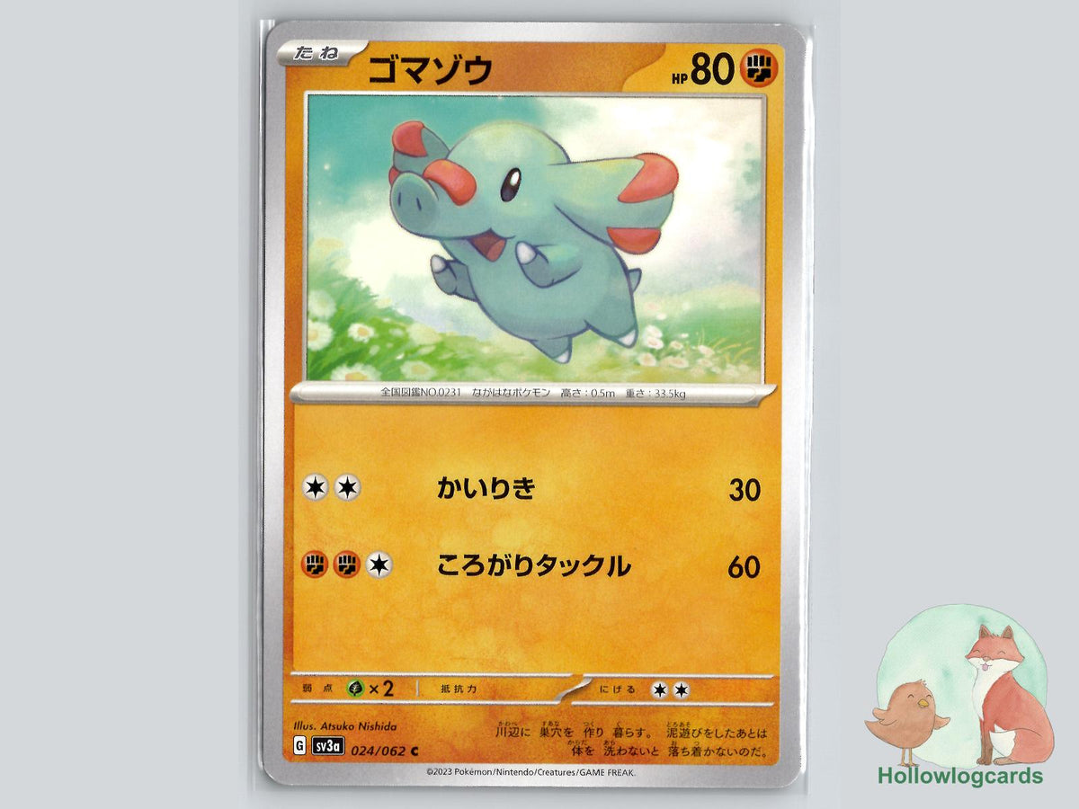 Phanpy (024/062) Pokémon Card