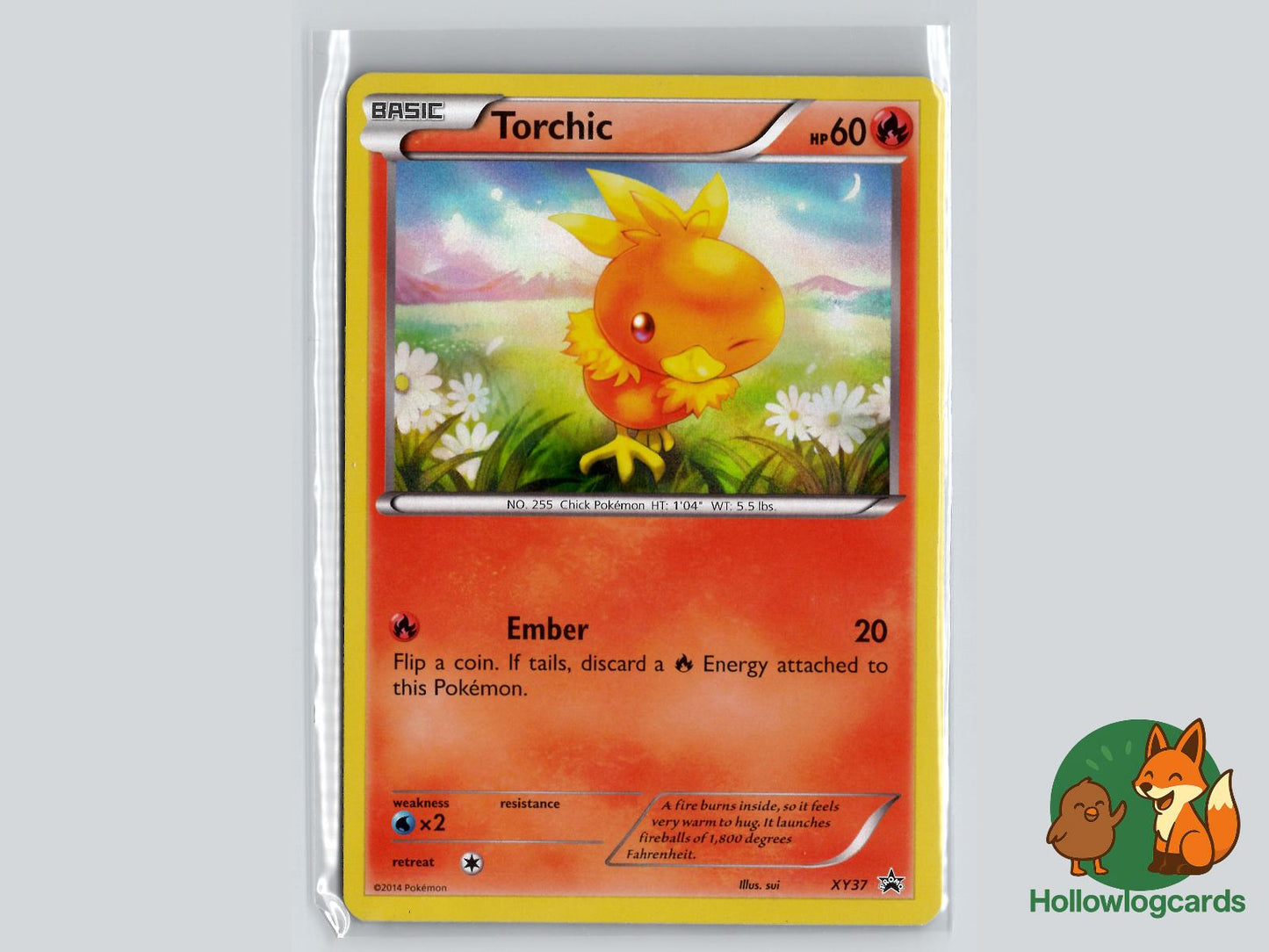 Torchic (XY37) - XY Pokémon Card