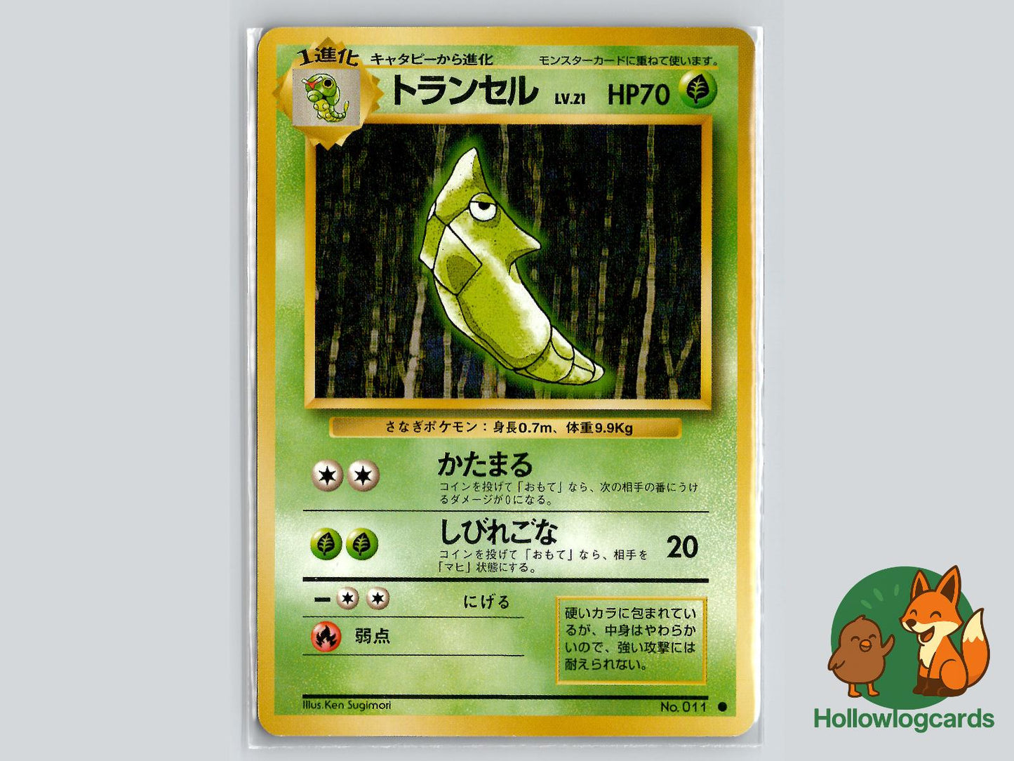 Metapod - Base Pokémon Card