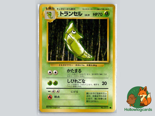 Metapod - Base Pokémon Card