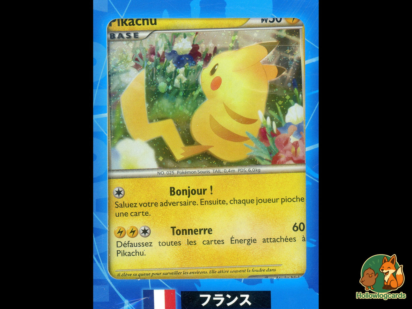 Pikachu World Collection 2010 - SEALED - Blue 9 card Japanese set