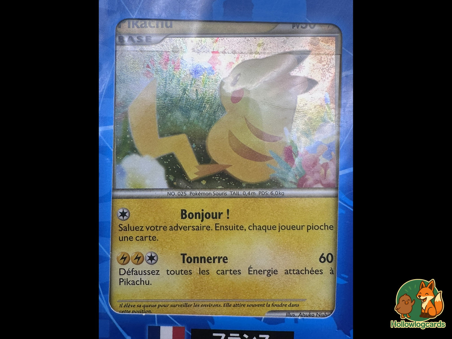 Pikachu World Collection 2010 - SEALED - Blue 9 card Japanese set