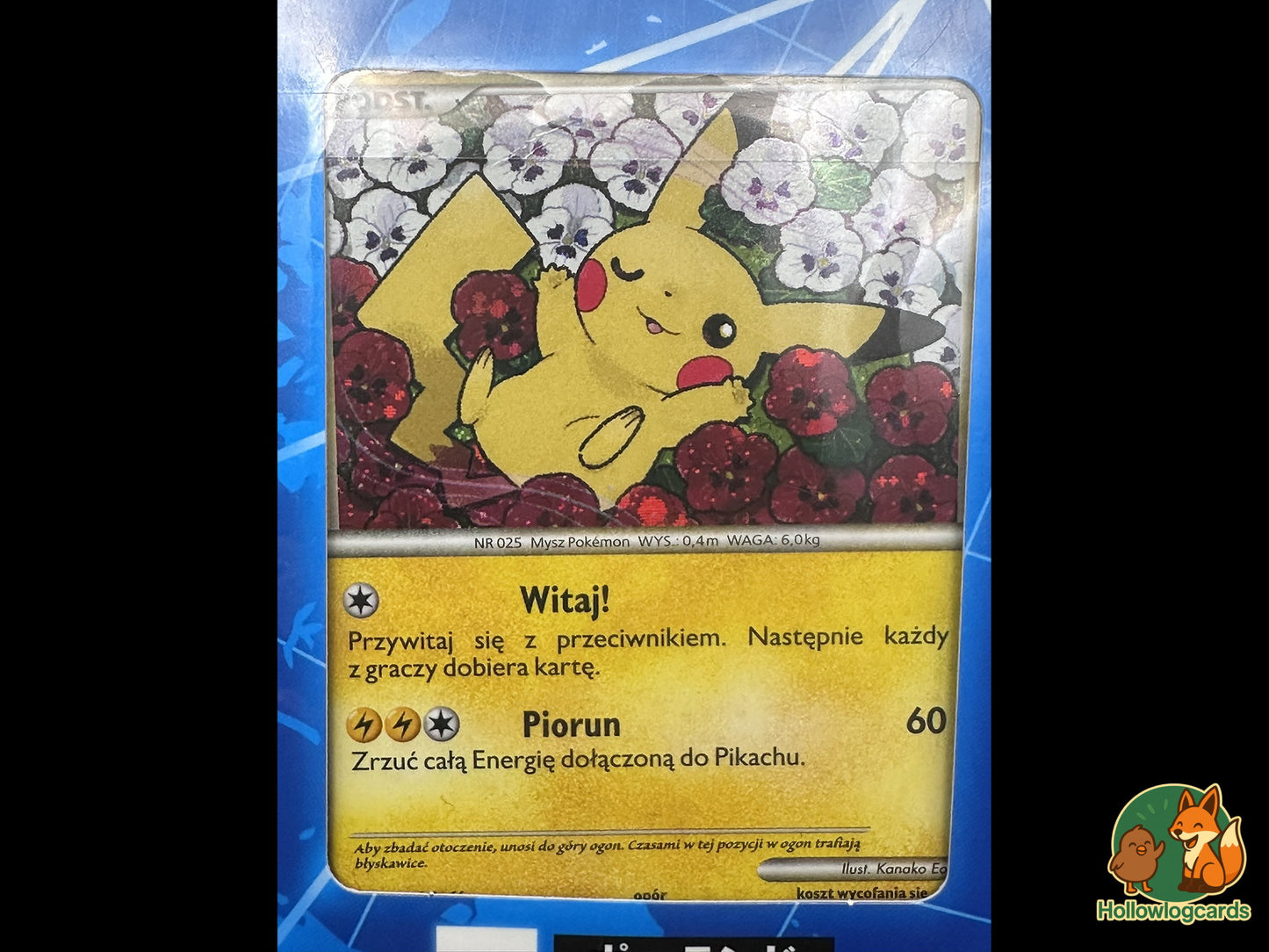 Pikachu World Collection 2010 - SEALED - Blue 9 card Japanese set
