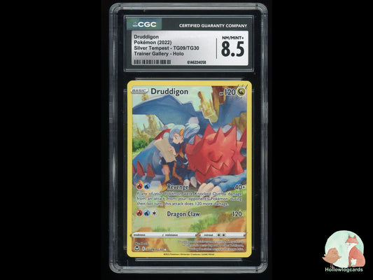 Graded Druddigon (TG09/TG30) Silver Tempest - CGC 8.5