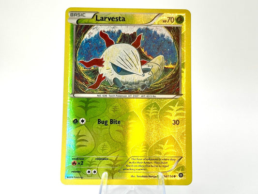 Larvesta - HOLO Steam Siege [14/114] - 2016 Modern - Komiya
