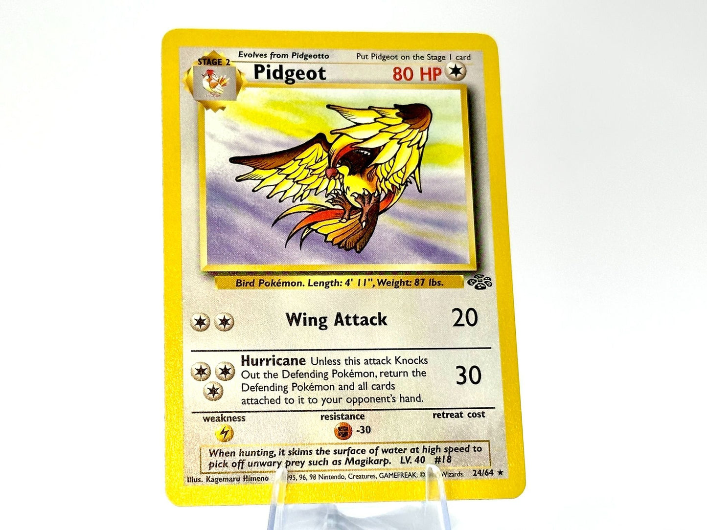 Pidgeot - Jungle [24/64] - 1999 WOTC - Himeno