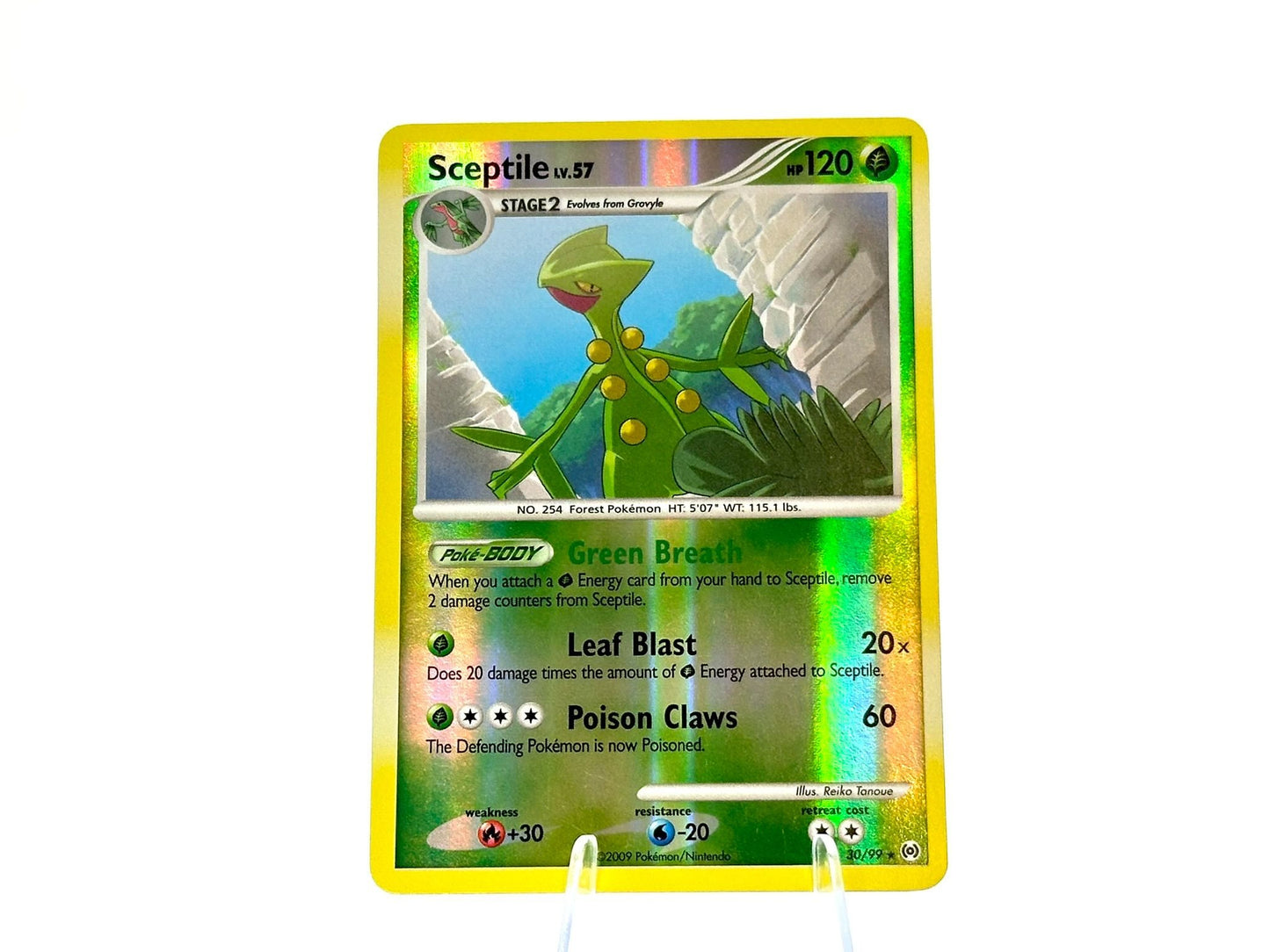 Sceptile - HOLO Arceus [3/99] - 2009 MidEra - Tanoue