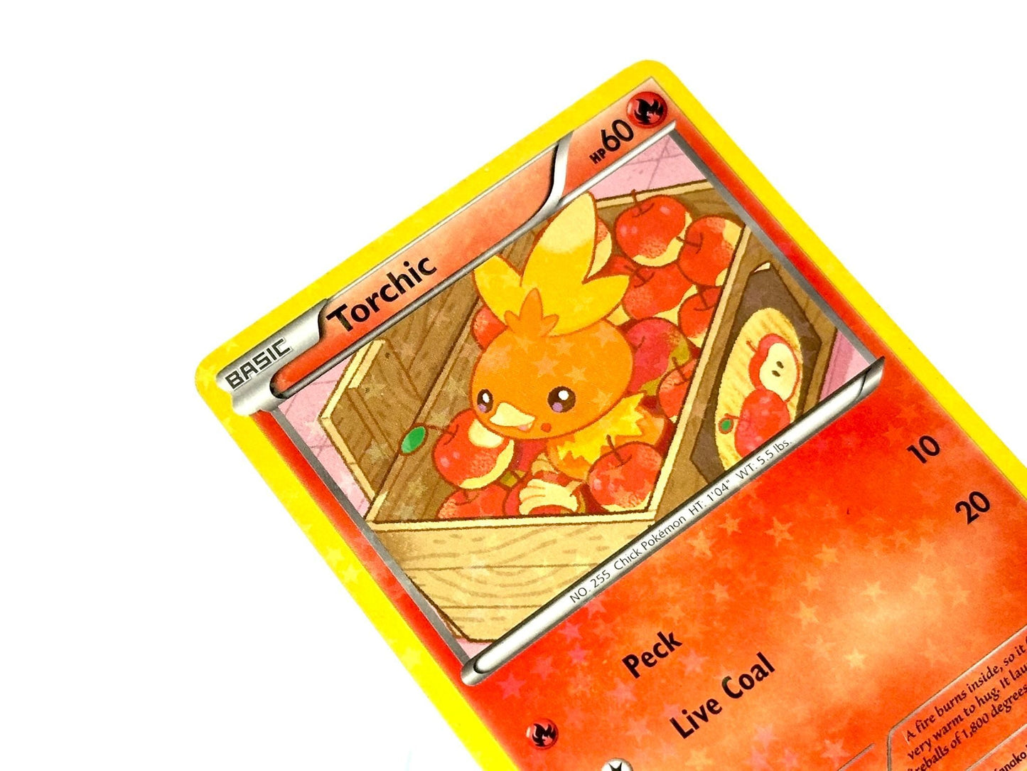 Torchic - HOLO Legendary Treasures [RC5/RC25] - 2013 MidEra - Kanako