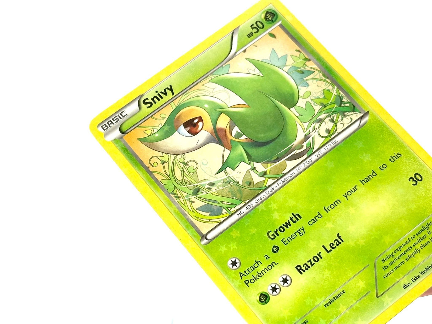 Snivy - HOLO Legendary Treasures [RC1/RC25] - 2013 MidEra - Yoshinobu