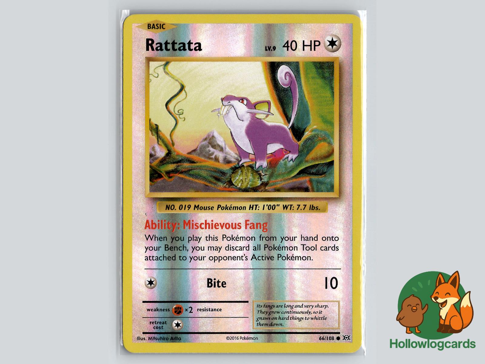 Rattata (66/108) - Evolutions Pokémon Card