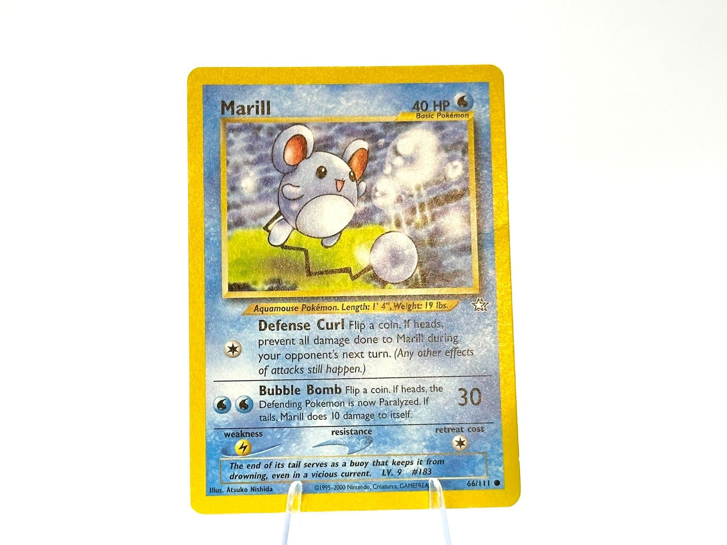 Marill - Neo Revelation [66/111] - 2001 WOTC - Atsuko Nishida